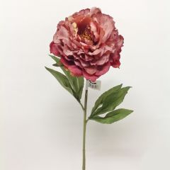 MAUVE ROSE TEK DAL ŞAKAYIK