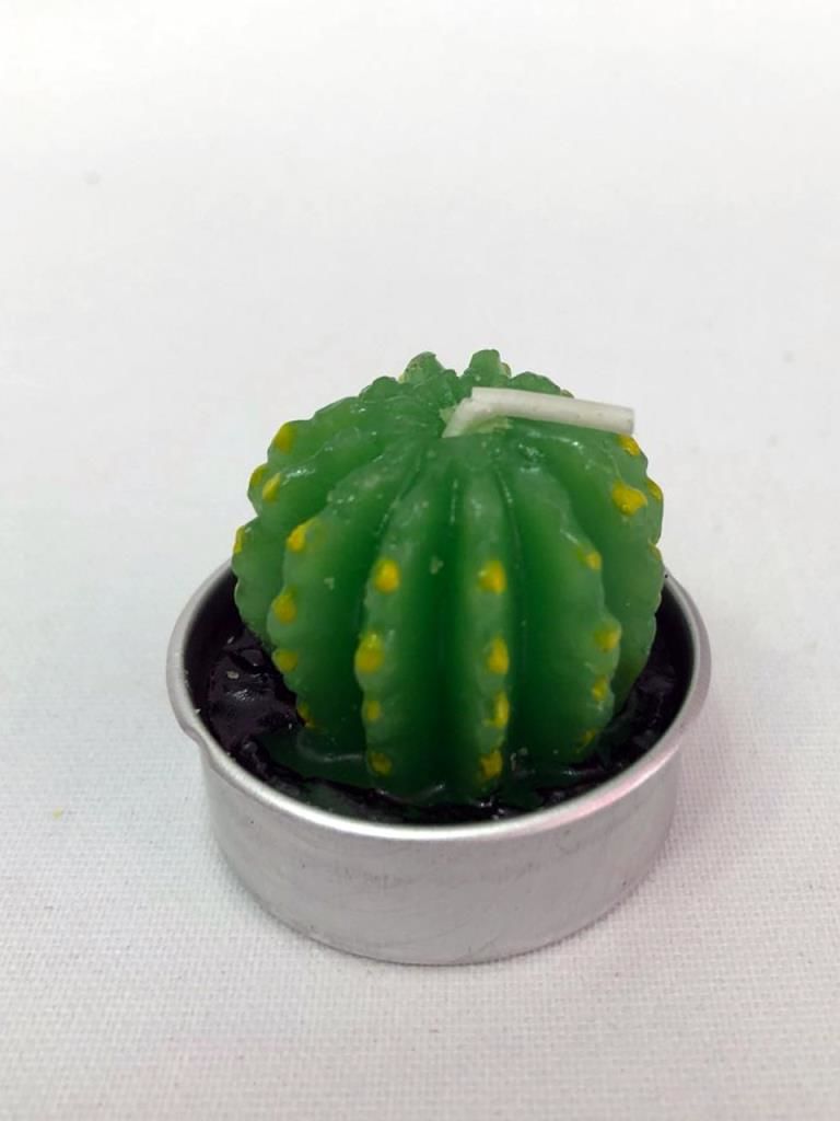 TOMBUL KAKTÜS MUM 3,5x4,5 cm
