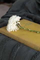 STAMPINO PETROL ÇİFT KİŞİLİK TRİKO BATTANİYELİ SET