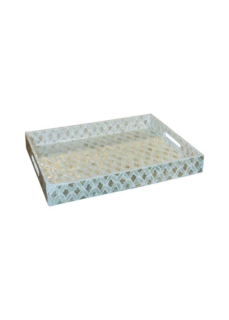 SEDEF TEPSİ 45X30X5CM