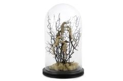 CORAL SİYAH ALTIN CAM FANUS DEKOR 22X37CM