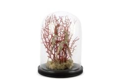 CORAL ORANJ ALTIN CAM FANUS DEKOR 22X30CM