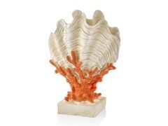 SEDEF KAİDELİ MERCAN ÜZERİNDE DENİZ KABUĞU DEKOR