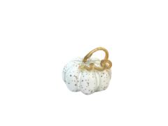 BEYAZ ALTIN DEKORATİF BALKABAĞI 18CM