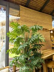RATTAN STOR PERDE NATURAL 90X180CM