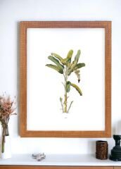 VIMINI ÇERÇEVE 40x50 CM