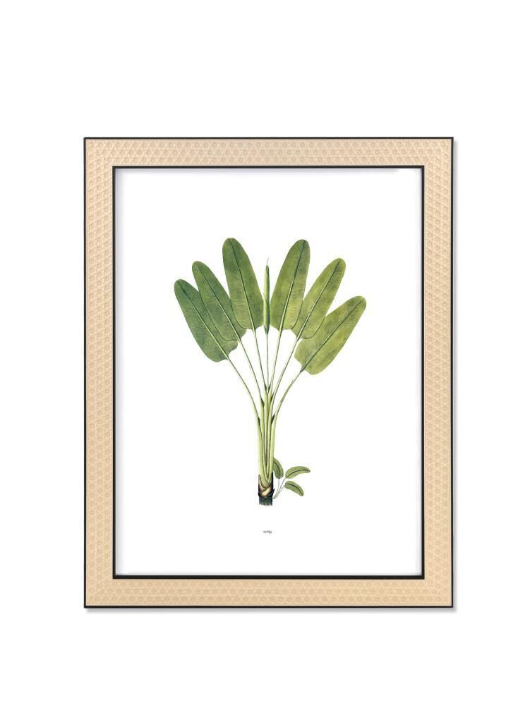 VIMINI SİYAH ÇERÇEVE 30x40 CM