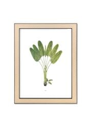 VIMINI SİYAH ÇERÇEVE 30x40 CM