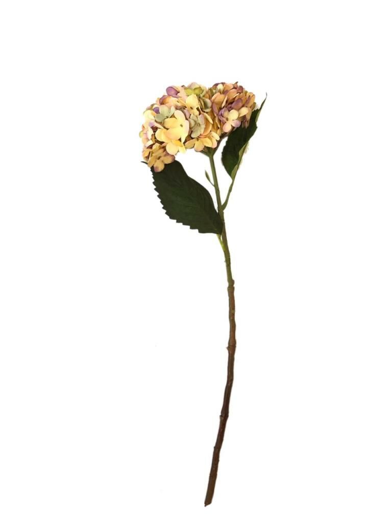 ORTANCA TEK DAL KREM 56 cm