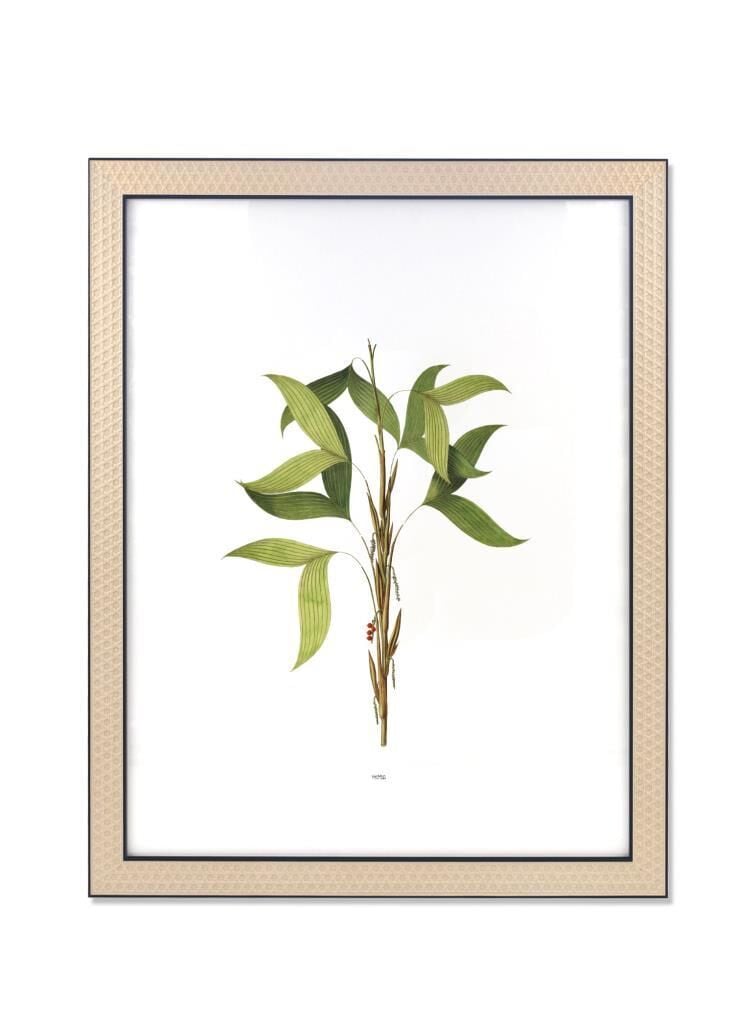 VIMINI SİYAH ÇERÇEVE 40x50 CM