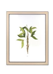VIMINI SİYAH ÇERÇEVE 40x50 CM