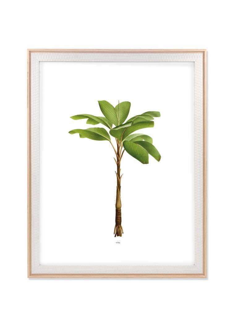 RETRATO BEYAZ ÇERÇEVE 40x50 CM