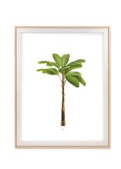 RETRATO BEYAZ ÇERÇEVE 40x50 CM