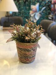 HASIR ASORTİ KONİK SEPET/SAKSI 11X15CM