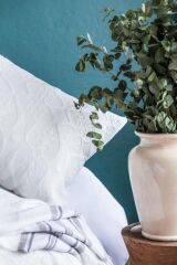 ALEPH WHITE TIMELESS PRIME SET