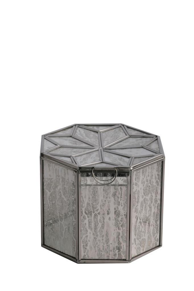 ALTIGEN TERARYUM/KUTU