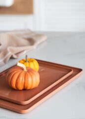 COTTA LIMOGES SERVİS TABAK TERRACOTA 28X20CM