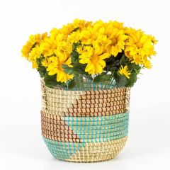 RENKLİ HASIR SEPET 25X21CM