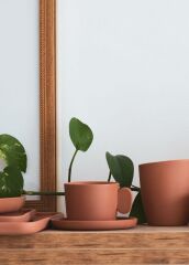 COTTA LIMOGES KAHVE FİNCANI TERRACOTA 100CC