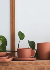 COTTA LIMOGES KAHVE FİNCANI TERRACOTA 100CC
