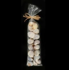 DEKROATİF KABUKLAR 33CM