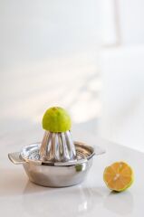 PASLANMAZ ÇELİK LİMON SIKACAK