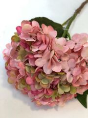 ORTANCA TEK DAL PEMBE 56 cm