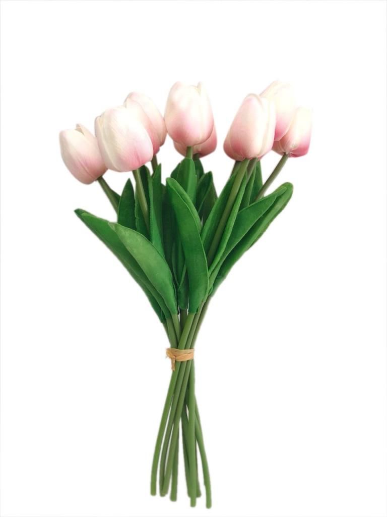 PEMBE ISLAK LALE