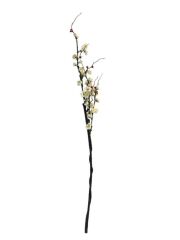 BAHAR DALI BEYAZ 118 cm