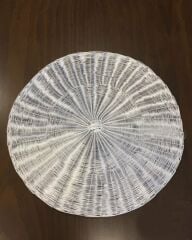 GÜMÜŞ ALÜMİNYUM AMERİKAN SERVİS 35CM