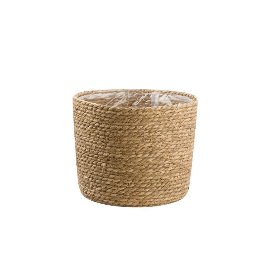 HASIR NATURAL SAKSI 32CM