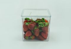 KAPAKLI KÜP ŞEFFAF DÜZENLEYİCİ 16X17X16CM