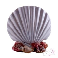 İNCİ DİŞ FIRÇALIK