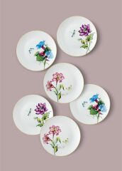 BLOMMA 6'LI PASTA TABAK