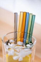 RENKLİ CAM 6 PARÇA PİPET VE TEMİZLEME ÇUBUĞU