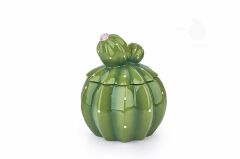 KAKTÜS KAVANOZ 16CM