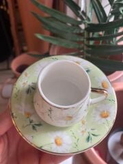 PAPATYA DESEN 6KİŞİLİK TÜRK KAHVESİ FİNCANI