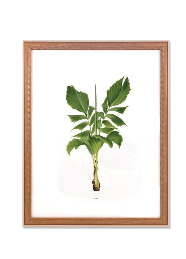 RETRATO KREM ÇERÇEVE 40X50 CM