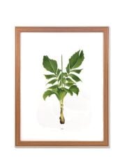 RETRATO KREM ÇERÇEVE 40X50 CM