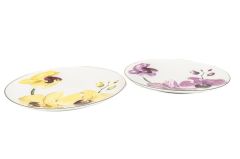 NEW BLOOM 4'LÜ PASTA TABAK 20CM