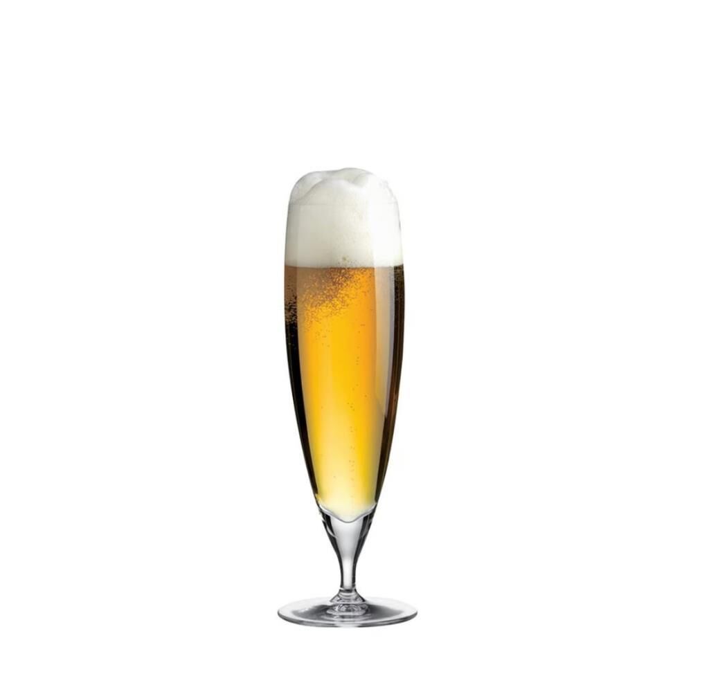 F&D FUSİON 6'LI BİRA BARDAK