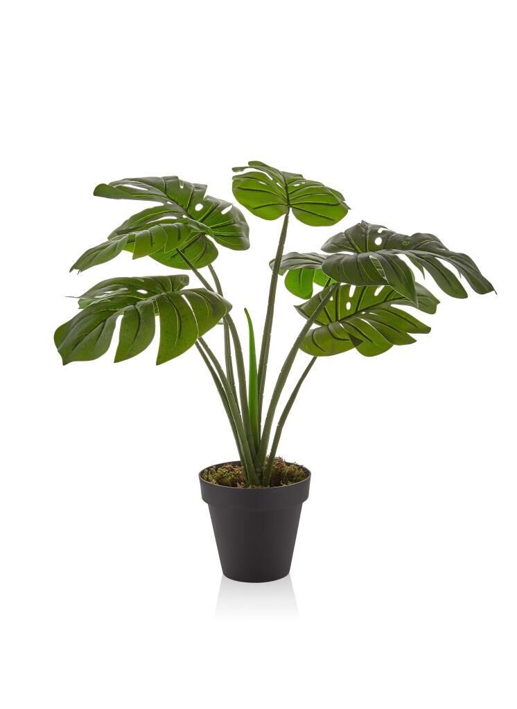 YAPAY ÇİÇEK MONSTERA SAKSILI 50CM