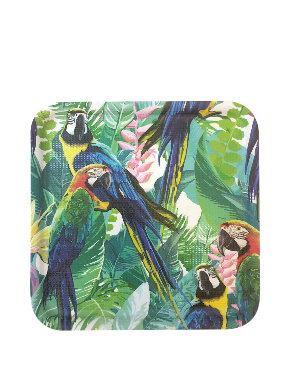 AMAZON PARROT KARE TEPSİ