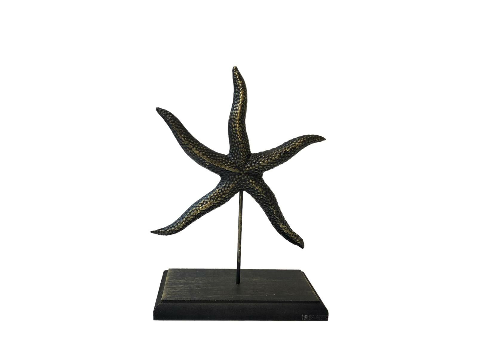 ESKİTME DENİZ YILDIZI 26cm