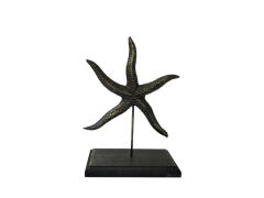 ESKİTME DENİZ YILDIZI 26cm