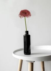 FIORINA PITIRCIK BEAUTY