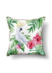 PARROT KIRLENT