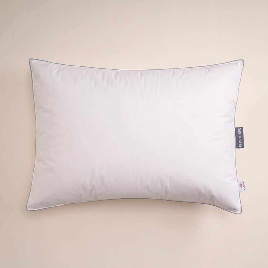 THERMY KAZ TÜYÜ YAZLIK-KIŞLIK YASTIK