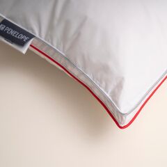 THERMY KAZ TÜYÜ YAZLIK-KIŞLIK YASTIK