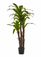 YAPAY YUCCA AĞACI YEŞİL BEYAZ 165CM